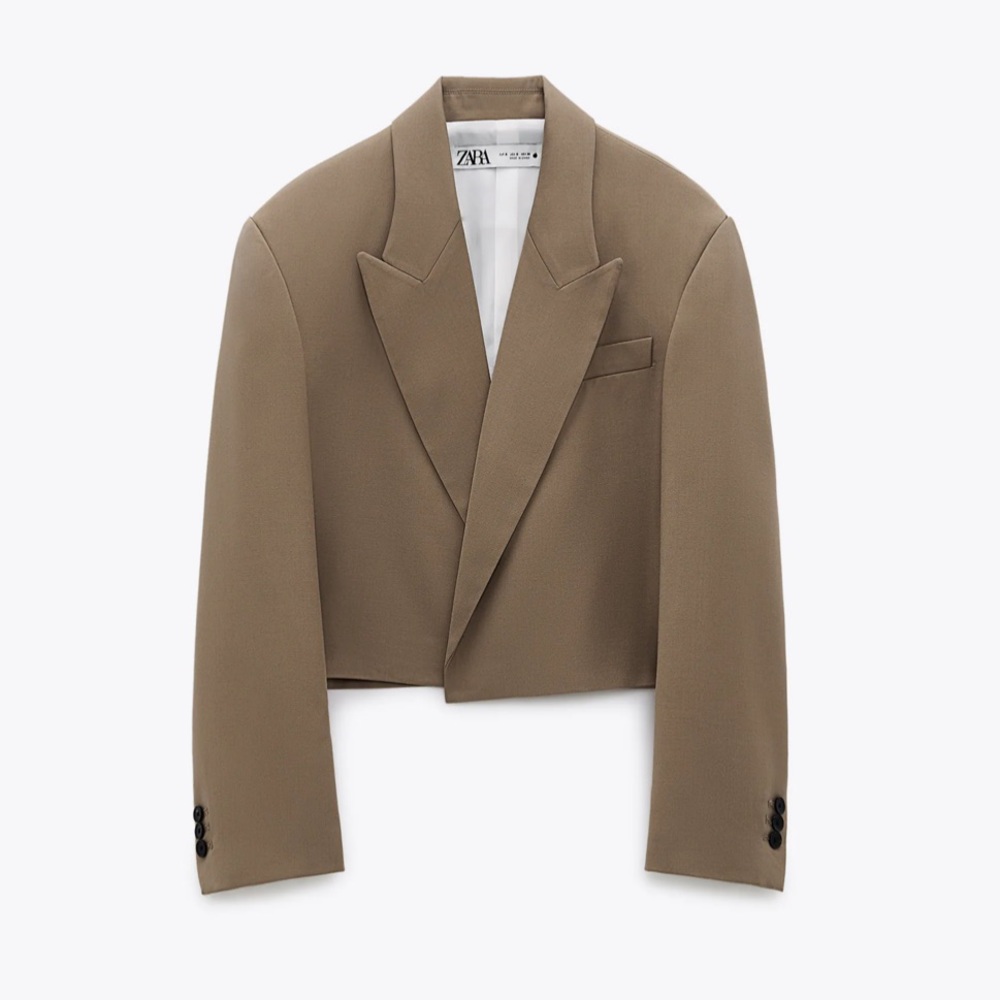 Zara Cropped Oversized Blazer